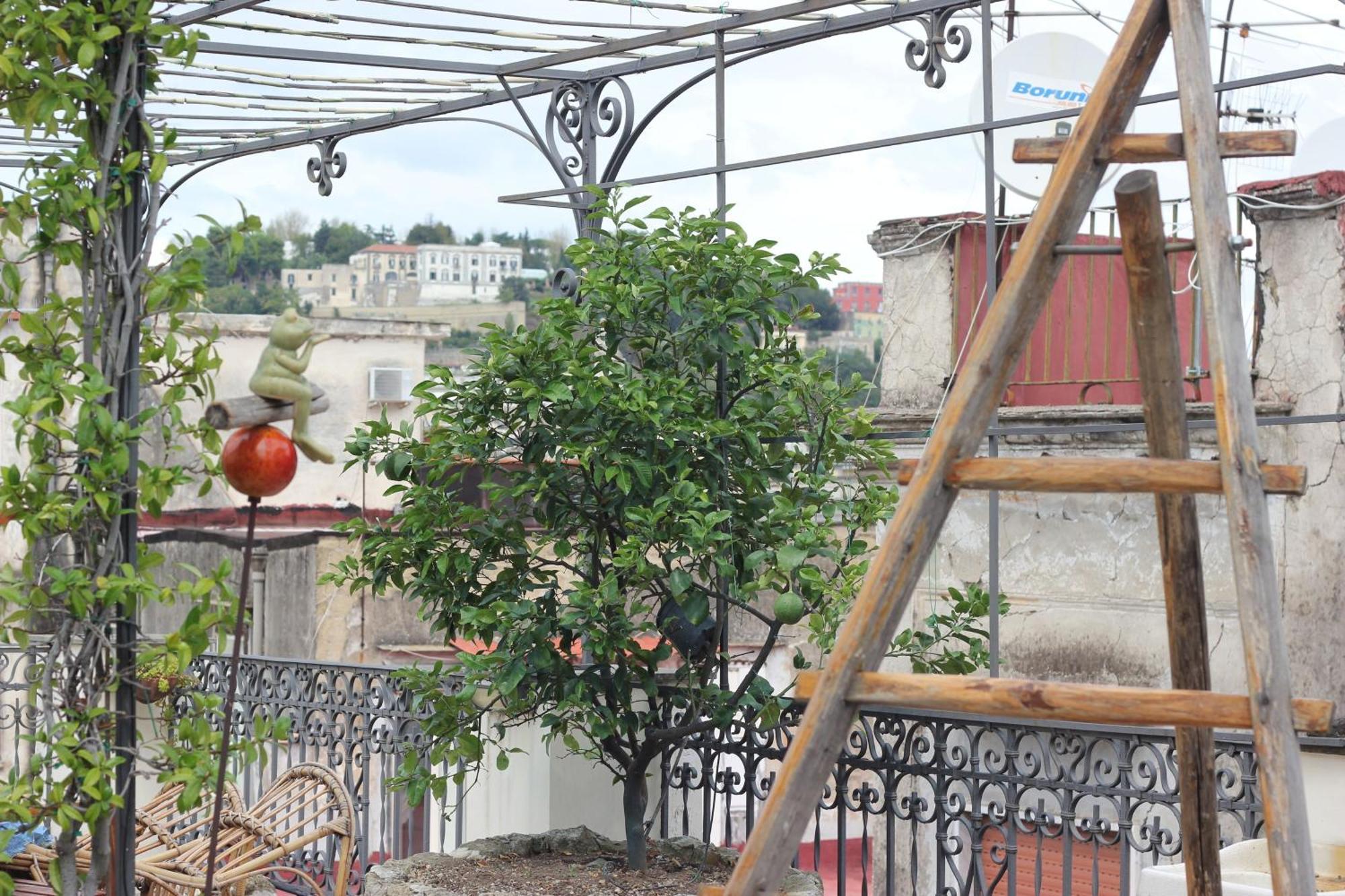 ナポリLemon Tree Terraceアパートメント エクステリア 写真
